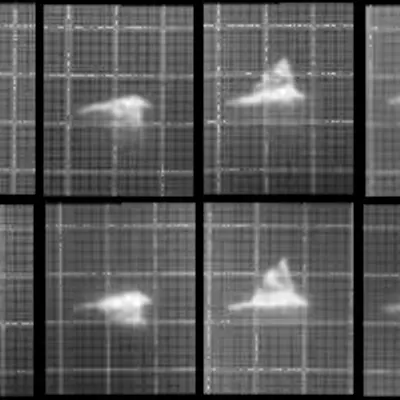 Chronophotograph 58