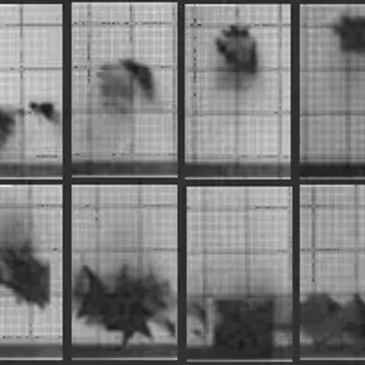 Chronophotograph 59