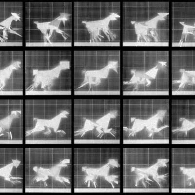 Chronophotograph 83