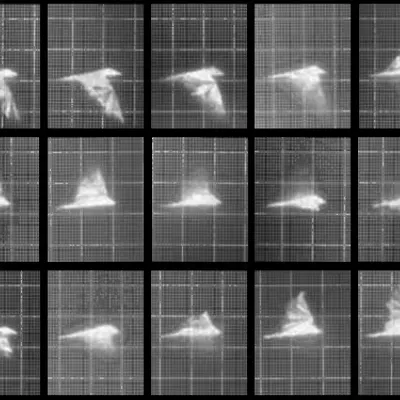 Chronophotograph 89