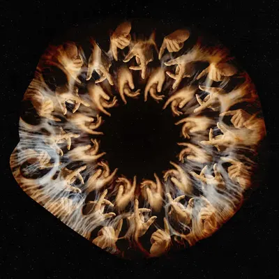 Kittball 007 / All Eye Can See