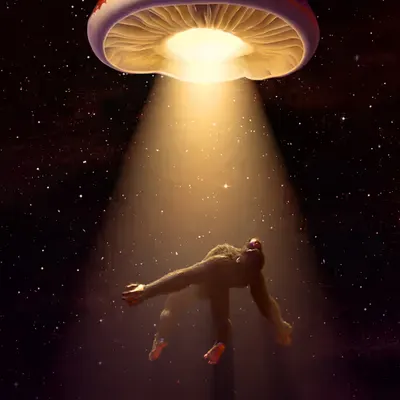 Transcendence