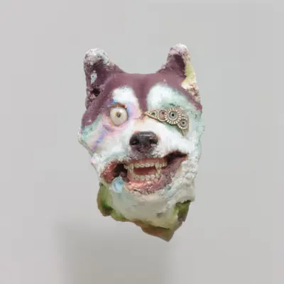 Husk