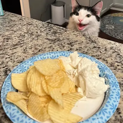 She Want Chips