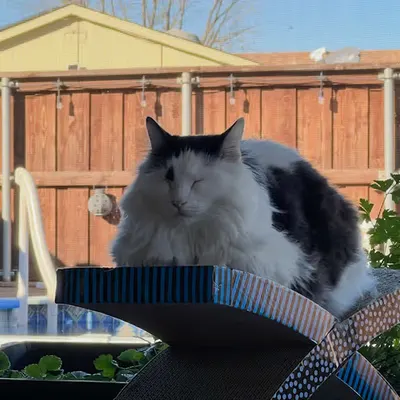 Cloud