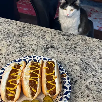 She Want Hot Dogs