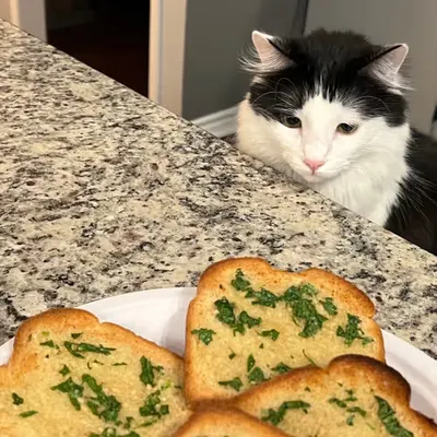 She Want Garlic Bread