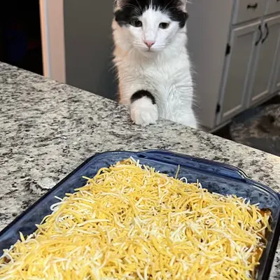 She Want Enchiladas