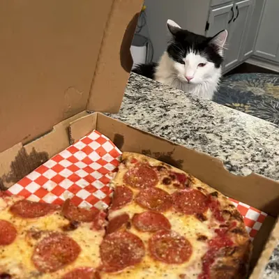 She Want Pizza