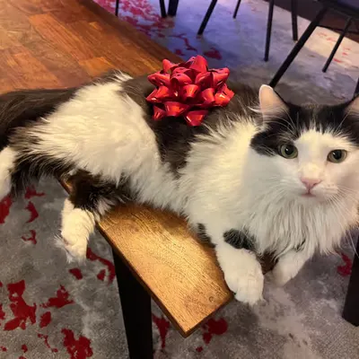 Beautiful Present