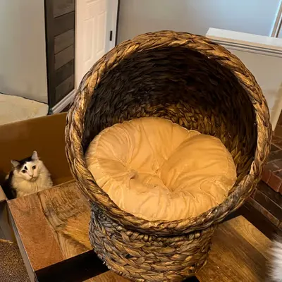 Box VS Bed
