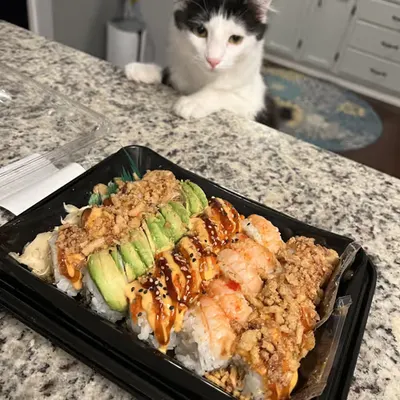 She Want Sushi