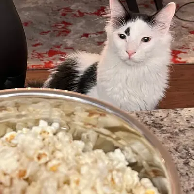 He Want Popcorn