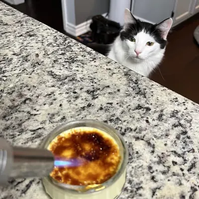 She Want Crème Brûlée