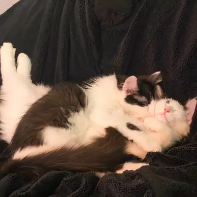 Inseparable