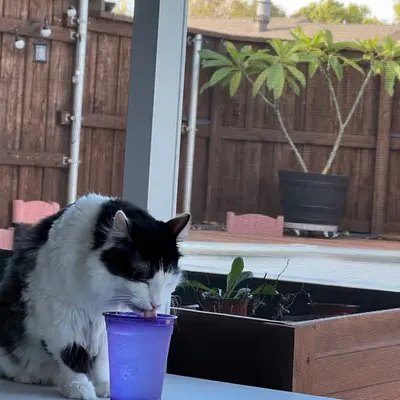She Want Water