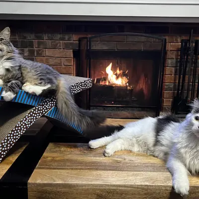 Fireside Chat