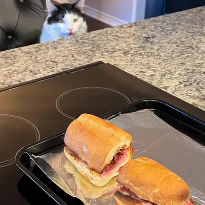 She Want Sandwich