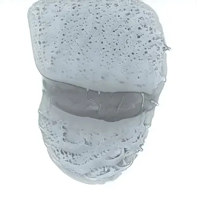 Fountain 0000042