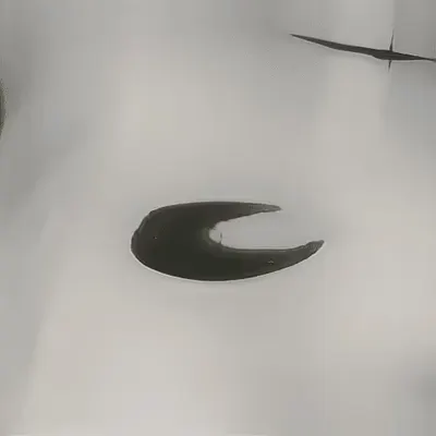 Fountain 0000047