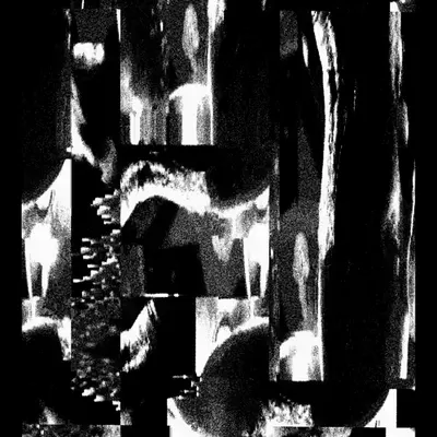 Echo, No Resonance #196
