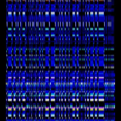 Echo, No Resonance #113