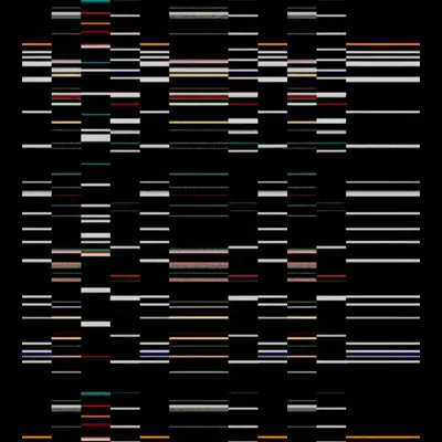 Echo, No Resonance #65