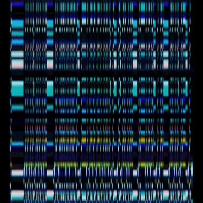 Echo, No Resonance #168
