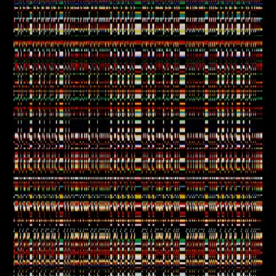 Echo, No Resonance #21