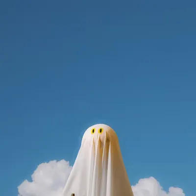 Mr. Boo Sky