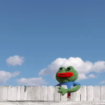 My Neighbor Pepe