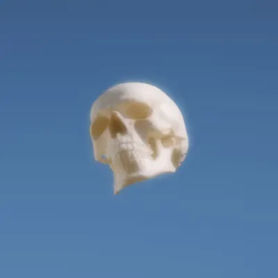 Bonehead