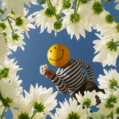 Daisy, Daisy