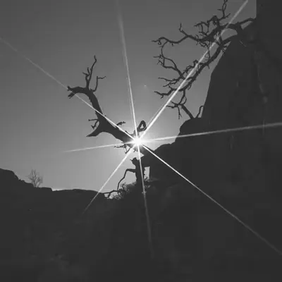 The Nothing