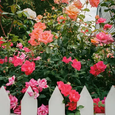💐