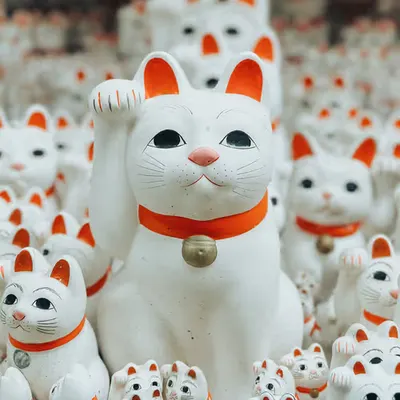 Meow