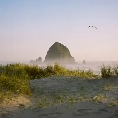 Haystack