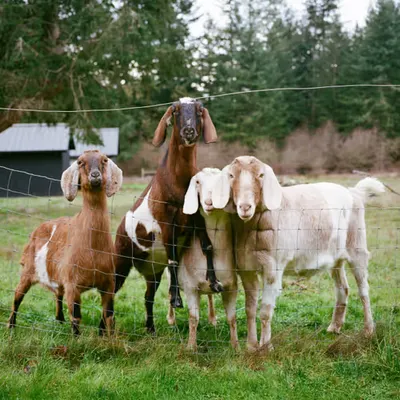 Family Portrait