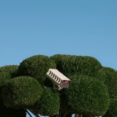 009