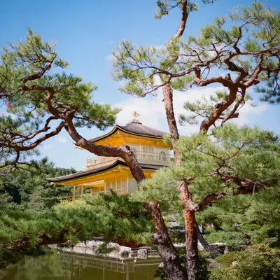 Kinkaku-ji