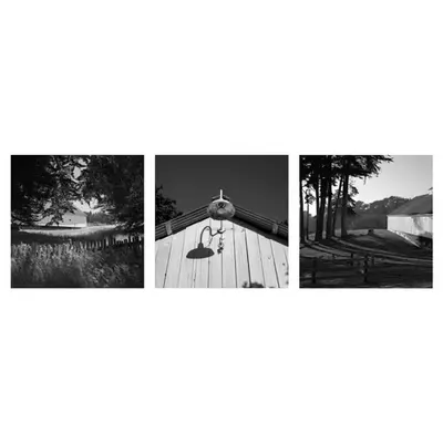 Big White Barn