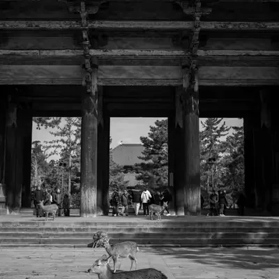 Nara