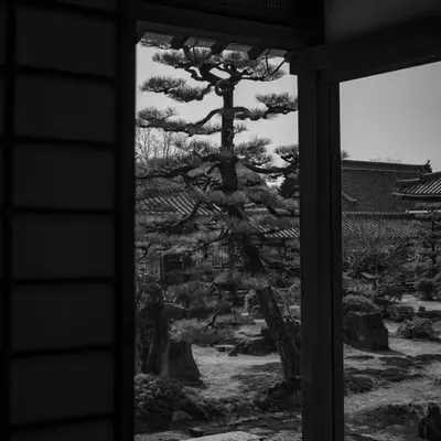 Silent View