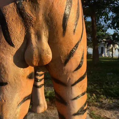 Tiger Balls