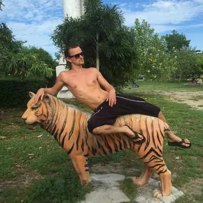 Blue Steel on Tiger