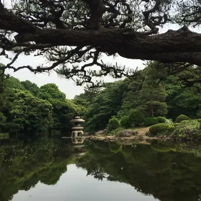 Tokyo Stillness