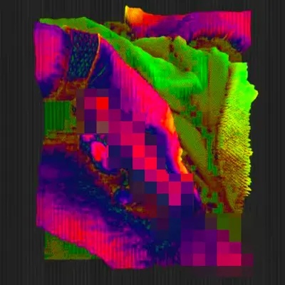 LO-FI DICK PIC