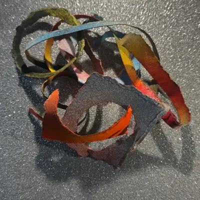 DETRITUS