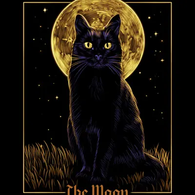 The Moon