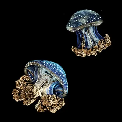 Spotted Jellyfish